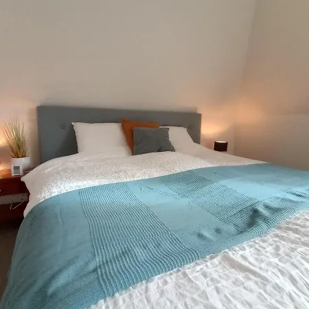 B&B Suyder Cogge